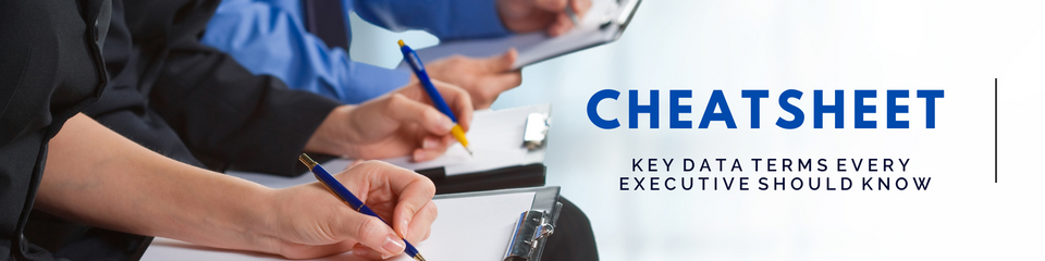 Cheatsheet for Key Data Terms Every Executive Should Know